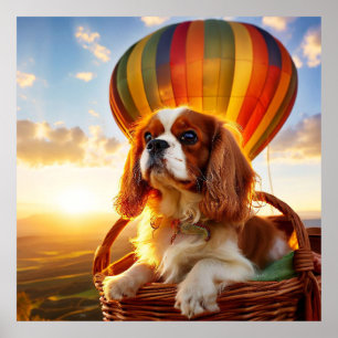 Cavalier King Charles Spaniel reitet auf einem Hei Poster
