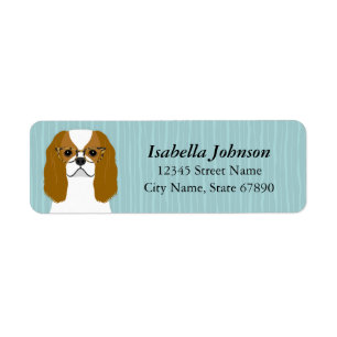 Cavalier King Charles Spaniel Rücksendeadresse