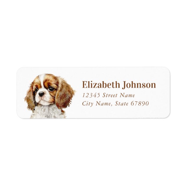 Cavalier King Charles Spaniel Rücksendeadresse (Vorne)
