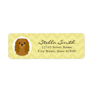 Cavalier King Charles Spaniel Rücksendeadresse
