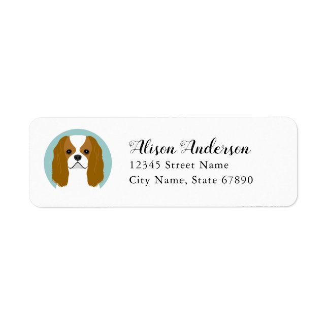 Cavalier King Charles Spaniel Rücksendeadresse (Vorne)