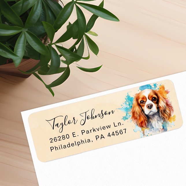 Cavalier King Charles Spaniel Rücksendeadresse (Von Creator hochgeladen)