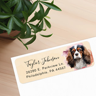 Cavalier King Charles Spaniel Rücksendeadresse