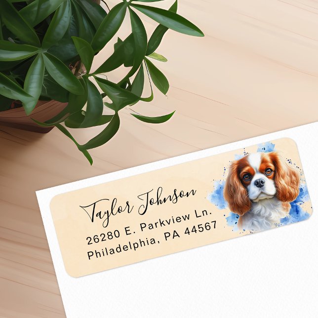 Cavalier King Charles Spaniel Rücksendeadresse (Von Creator hochgeladen)