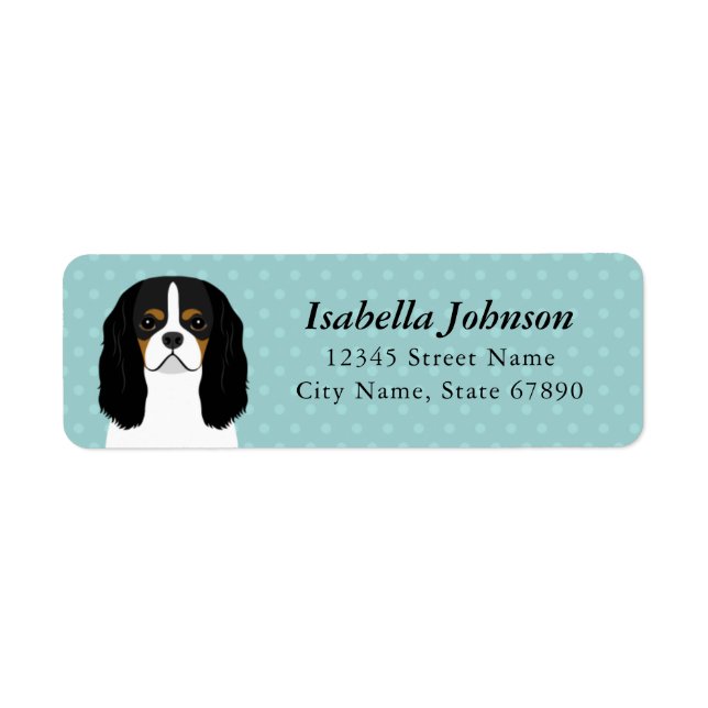 Cavalier King Charles Spaniel Rücksendeadresse (Vorne)