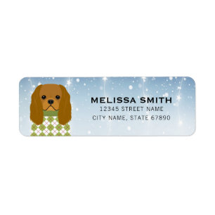 Cavalier King Charles Spaniel Rücksendeadresse