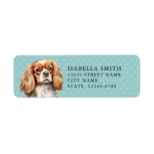 Cavalier King Charles Spaniel Rücksendeadresse