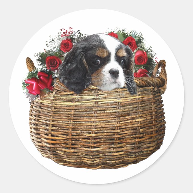 Cavalier King Charles Spaniel Runder Aufkleber (Vorderseite)