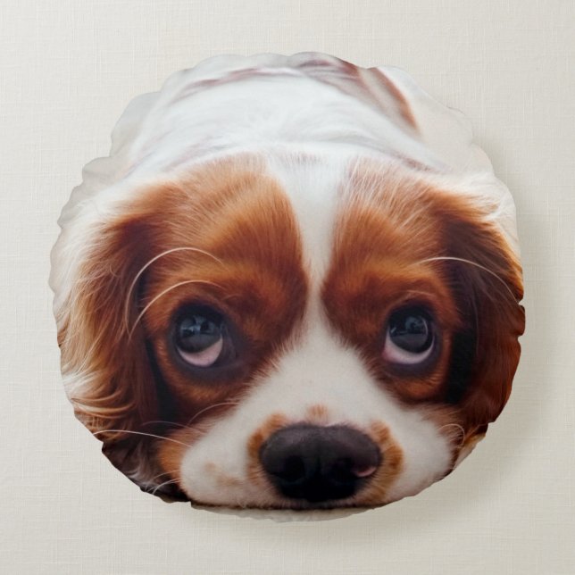 Cavalier King Charles Spaniel Rundes Kissen (Vorderseite)