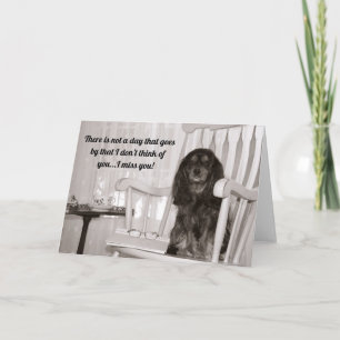 Cavalier King Charles Spaniel Schwarz und Tan verm Karte