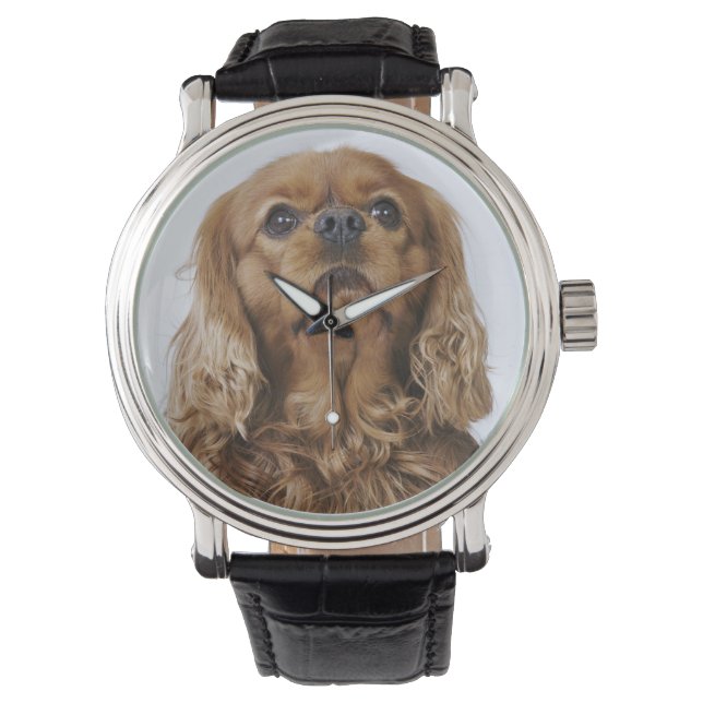 Cavalier King Charles Spaniel sieht nach oben Armbanduhr (Vorderseite)