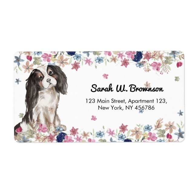 Cavalier King Charles Spaniel Small Size Dog (Vorne)