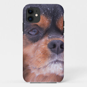 Cavalier King Charles Spaniel Snowflake Case-Mate iPhone Hülle