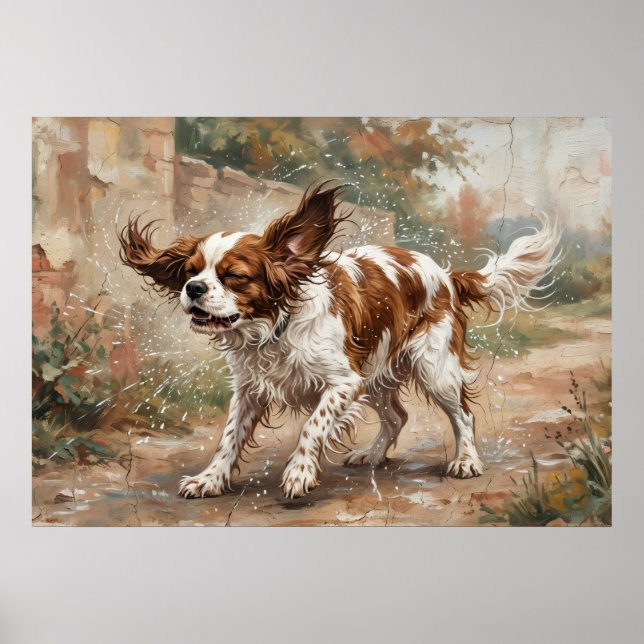 Cavalier King Charles Spaniel spielt im Garten Poster (Vorne)