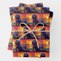 Cavalier King Charles Spaniel Sunset / Sunrise