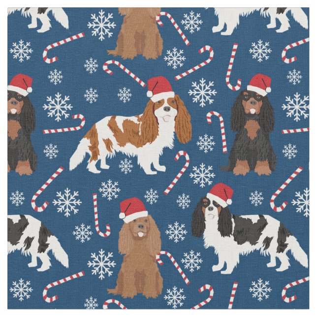Cavalier King Charles Spaniel Süßkarpfen Marine Stoff (Nahaufnahme)