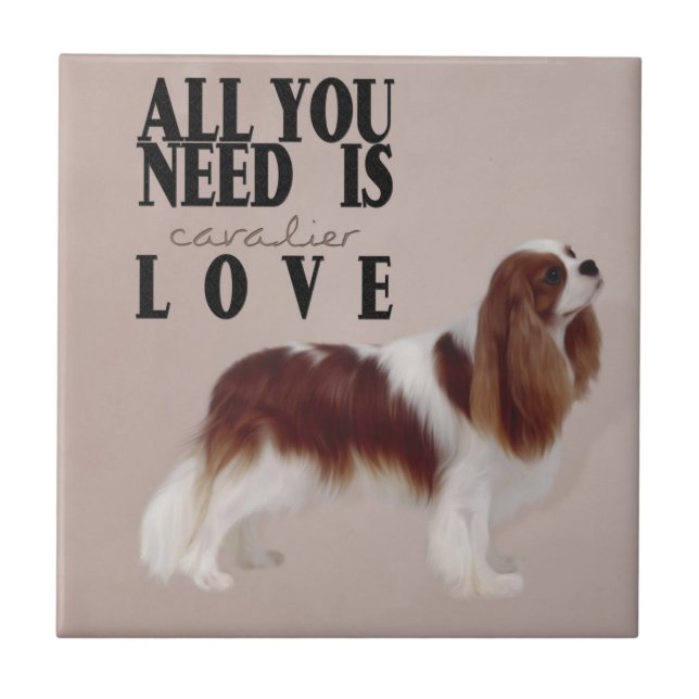 Cavalier King Charles Spaniel tile Fliese (Vorderseite)