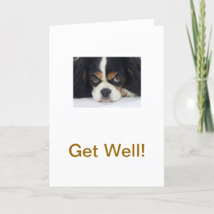 Cavalier King Charles Spaniel Tri Get Well Card Karte
