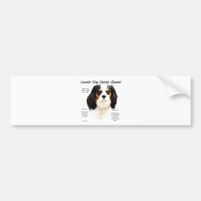 Cavalier King Charles Spaniel (Tricolor) Geschicht Autoaufkleber (Vorne)