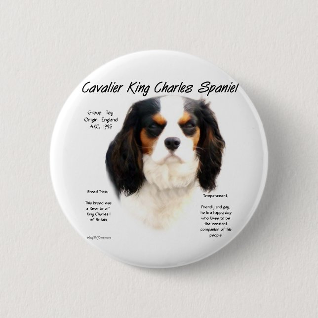 Cavalier King Charles Spaniel (Tricolor) Geschicht Button (Vorderseite)