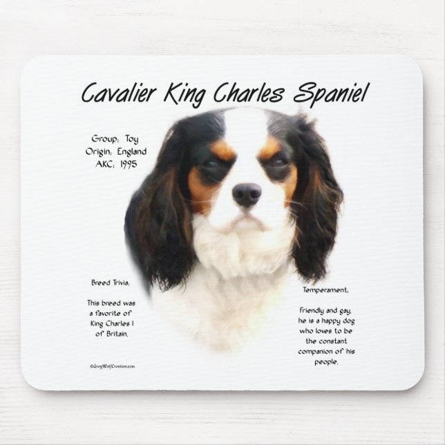 Cavalier King Charles Spaniel (Tricolor) Geschicht Mousepad (Vorne)