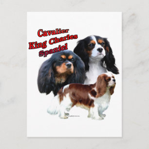 Cavalier King Charles Spaniel Trio 2 Postkarte
