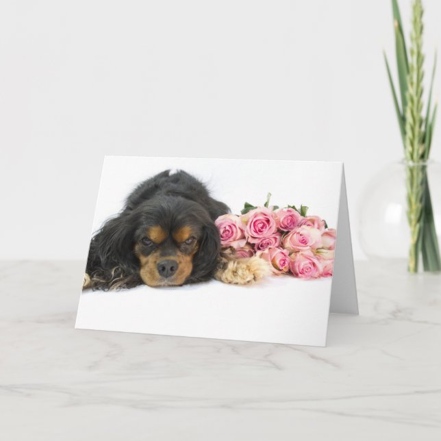 Cavalier King Charles Spaniel und Rose Card Karte (Vorderseite)