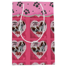 Cavalier King Charles Spaniel Valentinstag