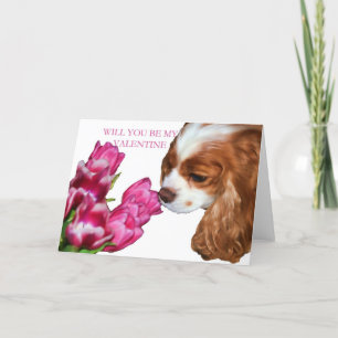 Cavalier King Charles Spaniel Valentinstagskarte Feiertagskarte