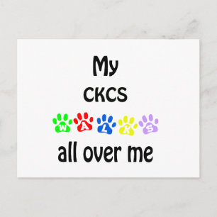 Cavalier King Charles Spaniel Walks Design Postkarte