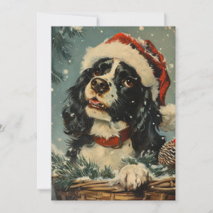 Cavalier King Charles Spaniel Weihnachten