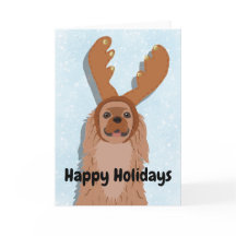 Cavalier King Charles Spaniel Weihnachten