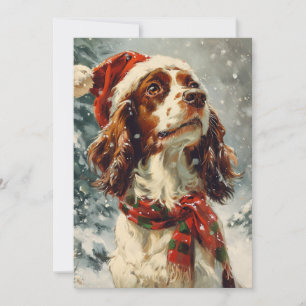 Cavalier King Charles Spaniel Weihnachten