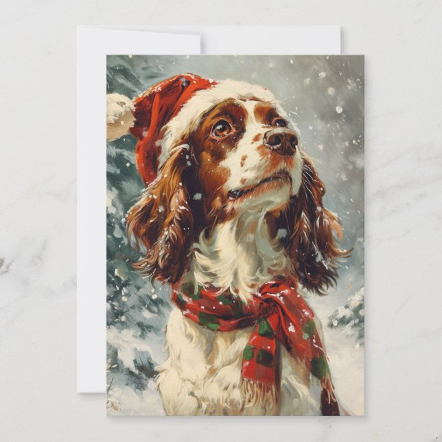 Cavalier King Charles Spaniel Weihnachten (Vorderseite)