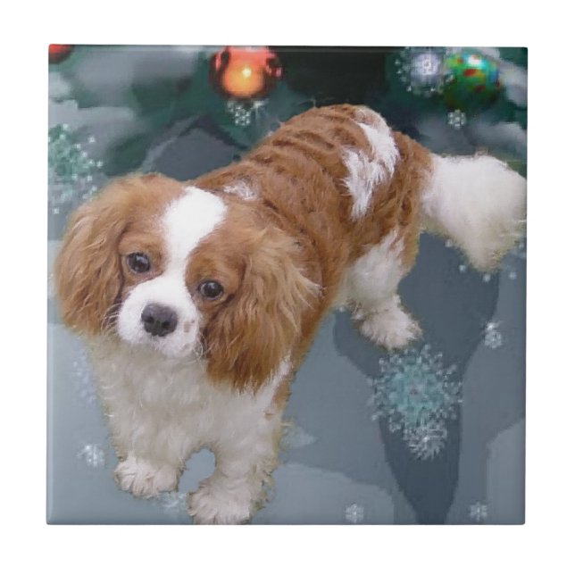Cavalier King Charles Spaniel Weihnachten Fliese (Vorderseite)