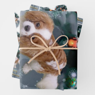 Cavalier King Charles Spaniel Weihnachten Geschenkpapier Set