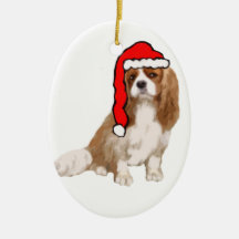 Cavalier King Charles Spaniel Weihnachten