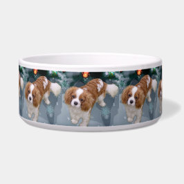 Cavalier King Charles Spaniel Weihnachten Napf