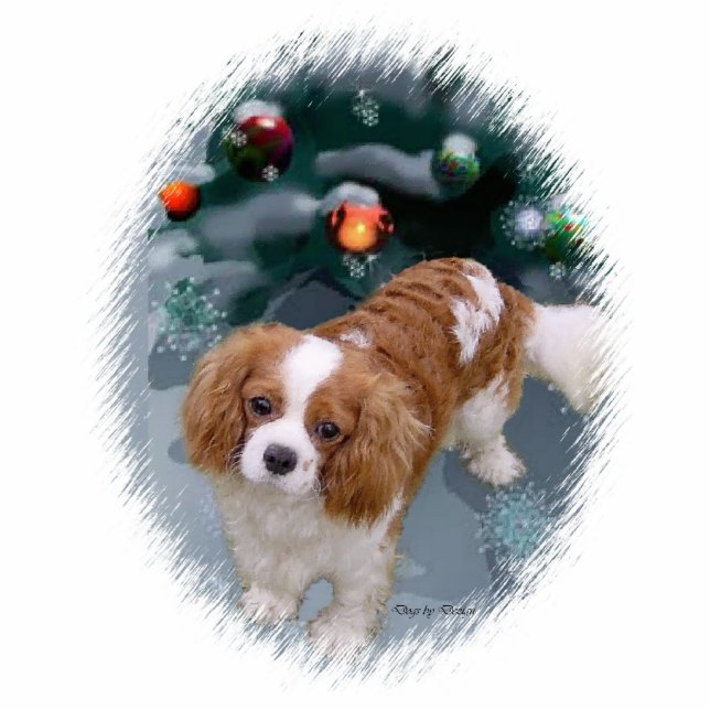 Cavalier King Charles Spaniel Weihnachtsgeschenke Fotoskulptur Ornament (Vorne)
