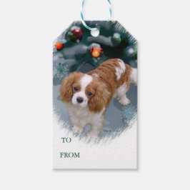 Cavalier King Charles Spaniel Weihnachtsgeschenke  Geschenkanhänger