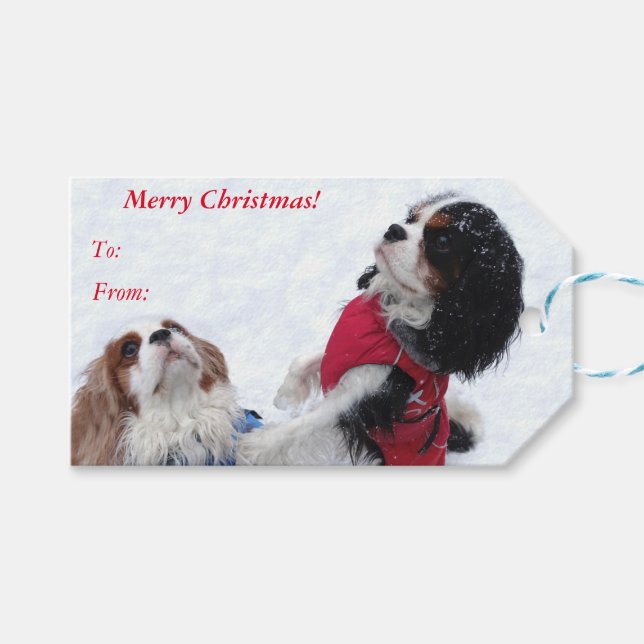 Cavalier King Charles Spaniel Weihnachtsgeschenke  Geschenkanhänger (Vorderseite (Horizontal))