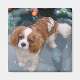 Cavalier King Charles Spaniel Weihnachtsgeschenke Magnet