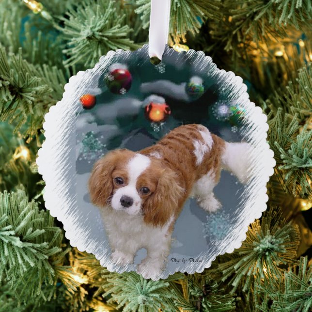 Cavalier King Charles Spaniel Weihnachtsgeschenke Ornament Karte (Insitu (Baum))