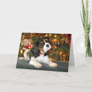 Cavalier King Charles Spaniel Weihnachtskarte Feiertagskarte