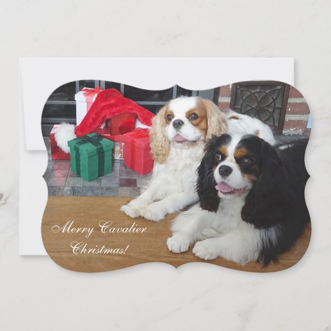 Cavalier King Charles Spaniel Weihnachtskarte Feiertagskarte (Vorderseite)