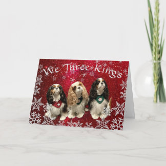 Cavalier King Charles Spaniel Weihnachtskarte Feiertagskarte