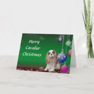 Cavalier King Charles Spaniel Weihnachtskarte Karte