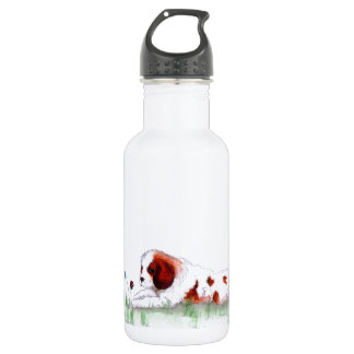 Cavalier King Charles Spaniel Welpe CKC 532 Ml Wa Edelstahlflasche