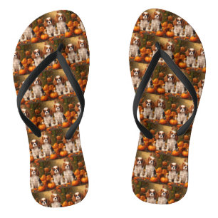 Cavalier King Charles Spaniel Welpe Herbst Kürbis Flip Flops