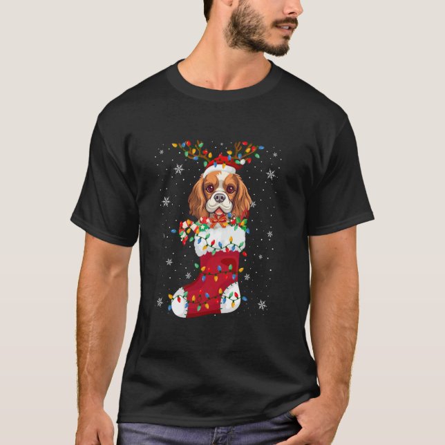 Cavalier King Charles Spaniel Welpe Hund in Socken T-Shirt (Vorderseite)